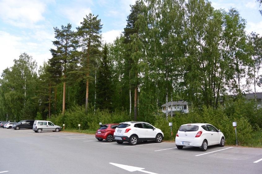 Kuvia osa alueelta 3. Puustoinen viherkäytävä parkkialueen reunassa. Puustoltaan vanhaa tuoretta kangasmetsää.