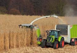 CLAAS tekee tästä syystä läheistä yhteistyötä viljelijöiden ja urakoitsijoiden kanssa, jotta kasvit myös tulevaisuudessa saadaan korjattua niin, että ne säilyvät ravinne- ja