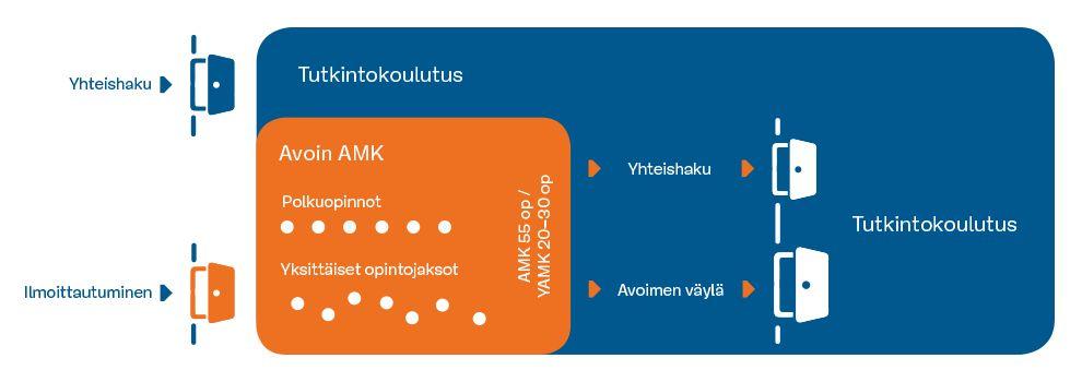 Avoimen AMK:n väylä Mahdollisuus hakea tutkintokoulutukseen, mikäli olet tehnyt avoimessa AMK:ssa vaadittavan