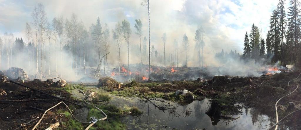 Keskeisimpiä eroja Sivu 23