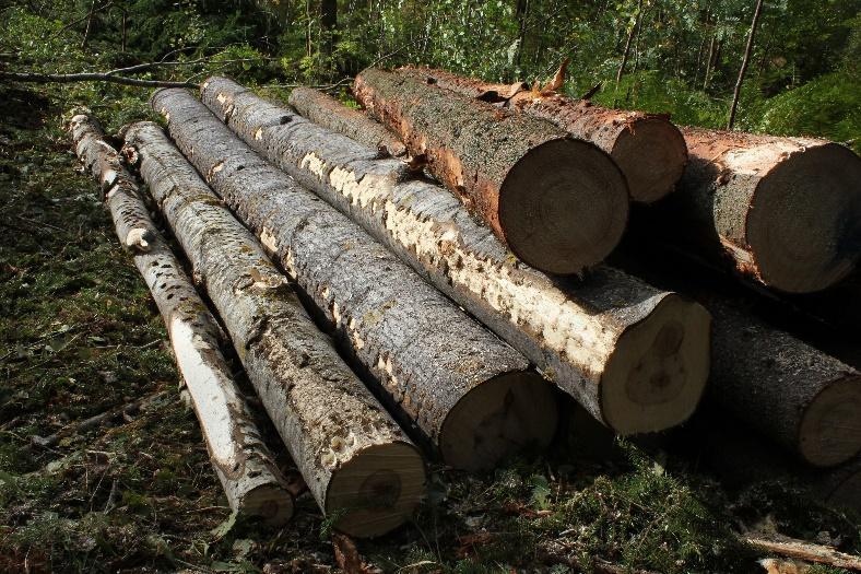 PEFC Pääasiallisesti kaikki metsänhoitotoimenpiteet sallittuja Keskittyy jatkuvan metsänkasvatuksen periaatteeseen Suojelukohteet tulevat pääosin metsälaista Alueellinen kulotusvaatimus Ei