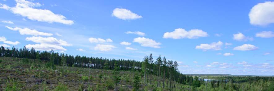 2 Kuva 2. Inventointialuetta Marjavaaran pohjoisosassa. Kuva luoteeseen. (AKD3729:2) Rovaniemen alue oli veden peitossa viimeisen jääkauden jälkeen.