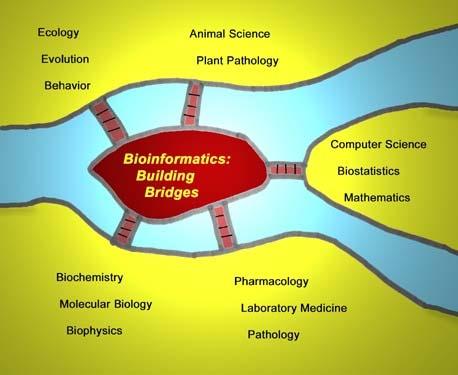 Bioinformatics is the science of using information to understand biology.