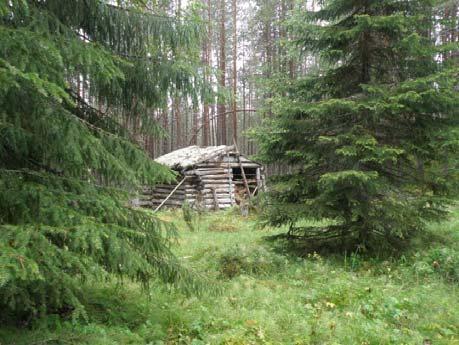 lato sijaitsee lähellä Runsuniityn