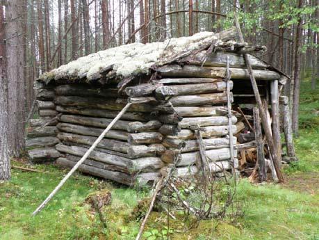 seinät ovat osin kuorimatonta mäntypuuta, hirsi on tukevaa, yläreunassa lahopaikkoja Kuva15.