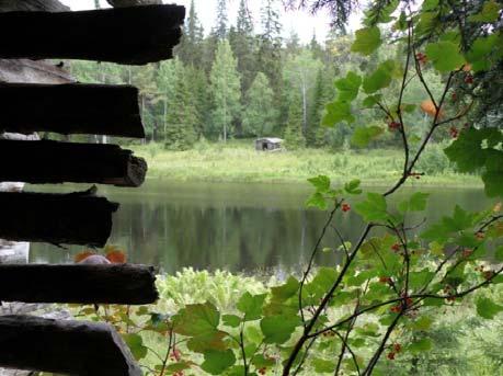 lato sijaitsee Runsunlamminkankaan eteläosassa