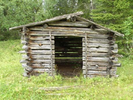 pienehkö niittyalue on rakennusta haittaavasti metsittymässä, havu- ja lehtipuita,