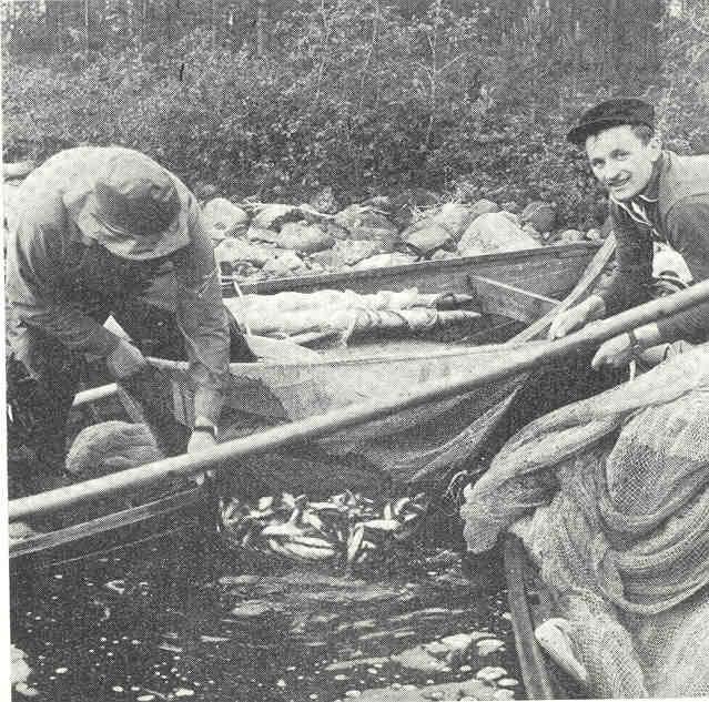 55 Oloissa oli paljon korjattavaa, mutta toisaalta kuvauksesta saa sen käsityksen, että elinkeinot olivat luonnon ansiosta tai vuoksi monipuoliset, eikä maatalous ollut kovinkaan keskeinen elinkeino.
