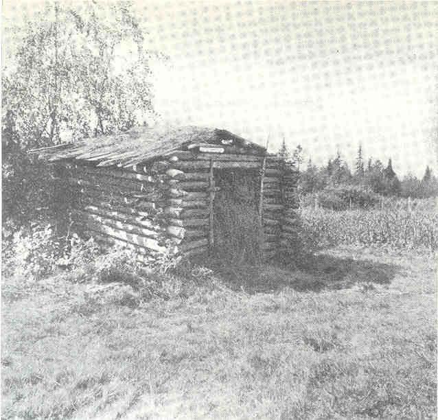 Metsähallitus Pohjanmaan luontopalvelut rakennusperinnön inventointi ja korjaussuunnitelmat Oulangan kansallispuisto SIPARK Oy 2008 170 Joissakin ladoissa näkyy merkkejä hirsien uudelleen