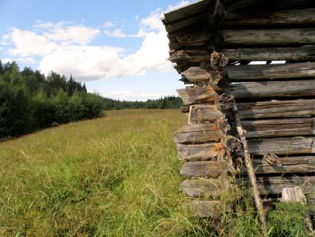 sitten, vesikatto pitää vettä, riittää, että se puhdistetaan tämän ladon kunnon suurin ongelma on nurkkien ravistuminen, erityisesti sisäänkäyntisivun puolella on