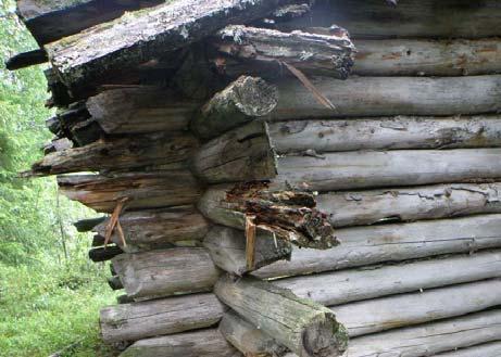 itäsivulta vaihdetaan kolme ylintä hirttä ja länsisivulta ylin hirsi uusien hirsien päät muotoillaan (sahattu/veistetty/mitta) kuten poistetuissa hirsissä Kuva4.