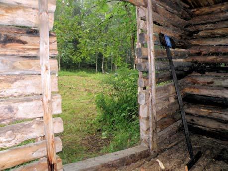 muodostavat mieleen jäävän parin, kuusta ei kaadeta vaan rakennusta hoidetaan siirtämällä