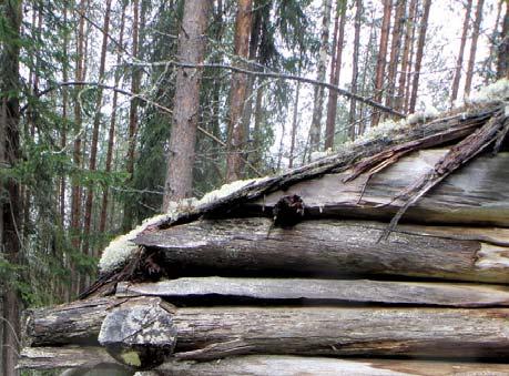 vesikattolaudat uusitaan, käytetään säröslautaa (ohje säröslaudan valmistuksesta ja katteen kiinnityksestä on korjaussuunnitelmaosion lopussa) Kuva5.