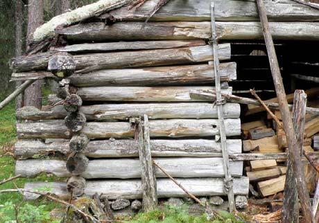 keskimmäinen vuoliainen uusitaan muiden vuoliaisten lahoaste arvioidaan puukon terällä ja uusitaan, mikäli lahoa on oleellisessa määrin (kantava rakenne) Kuva6.