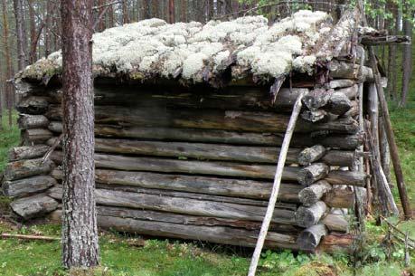 jäävät hirteen (lovet ovat aikaisemman käytön jälkiä ja ne kertovat siitä, että hirsi on vanha) ylimmän hirren lahon aste tutkitaan puukonkärjellä ja hirsi uusitaan tarvittaessa (vähäinen laho ei