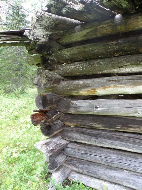 seinähirsiä korjataan pahimmin vaurioituneen nurkan osalta (pohjoisnurkka) vaihdetaan hirsiä: seinän yläosasta kaksi ylintä kertaa molemmilta huonokuntoista