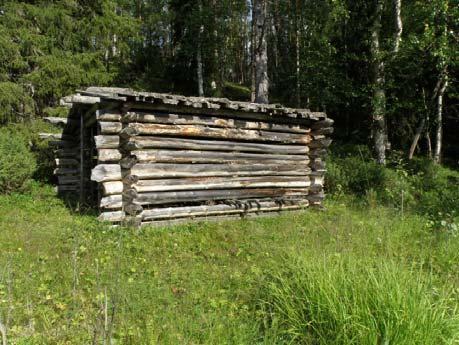 ladon koillispuoleiselta rinteeltä tulee poistaa pensaat ja lähimmät puut