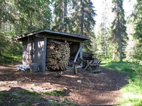 eteläpuolelta alkaa metsä ja aluskasvillisuus Ympäristö, pihapiiri: Kuva3.