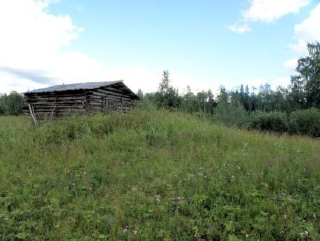 lato sijaitsee Kiutavaaran juurella