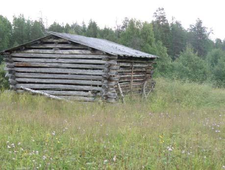 vesikatto on tuettu viiden mäntypuisen