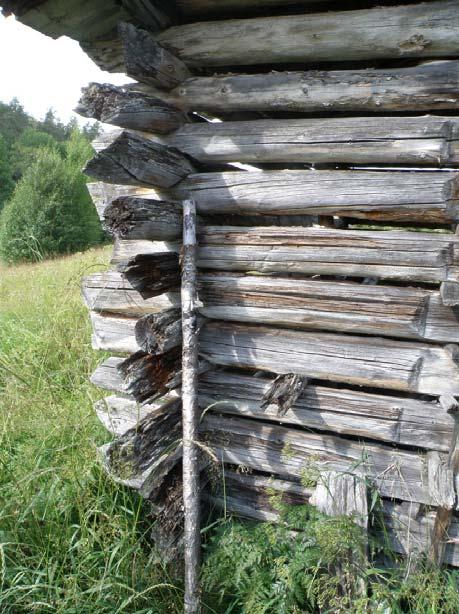 koirankaulasalvokset, molemmat puut on lovettu, tyvi- ja latvapuiden rytmiä on