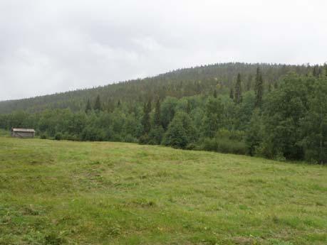 pohjoispuolella, vastarannalla