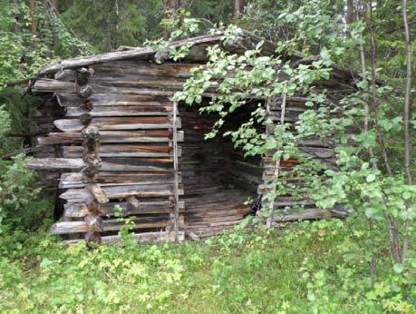 kyljessä kasvaa havupuita Kuva5.