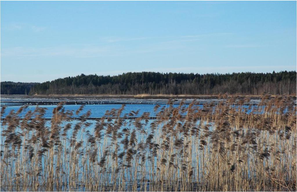 2018 q Yhteinen yleisötilaisuus järjestetään Mustasaaressa to 8.11.