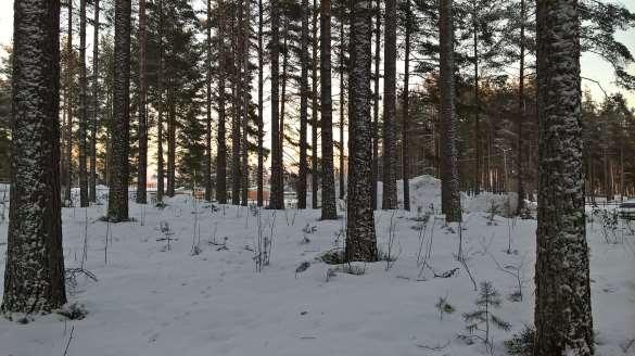 6 2 LÄHTÖKOHDAT 2.1 Selvitys suunnittelualueen oloista 2.1.1 Alueen yleiskuvaus Suunnittelualue sijaitsee korttelin 32 eteläpuolella ja läntisen hautausmaa-alueen pohjoispuolella.