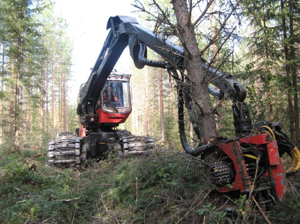 Kanalinnut sietävät monia metsätaloustoimia Metso käyttää jopa nuoria kasvatusmetsiä. Metsämaiseman riittävä peitteisyys on tärkeää!