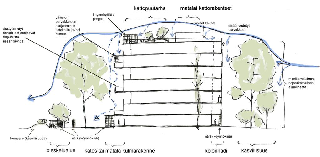 Vakiintunut kasvillisuus tarjoaa tuulensuojaa heti, kun taas istutettavalla kasvillisuudella kuluu riittävän koon saavuttamiseen vuosia tai vuosikymmeniä.
