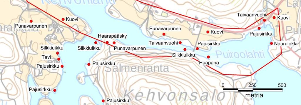 Kehvonlahden rantapelloilla havaittiin 10 hautovaa töyhtöhyyppää ja yksi kuovi. Likosalmessa, Kevonlahden ja Puiroolahden välissä, havaittiin 10.6.