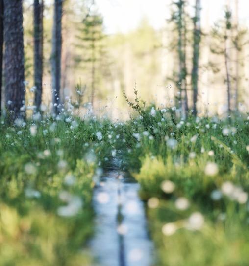 Kun auttaja ymmärtää nämä periaatteet, hänen on helpompi hyödyntää ikäihmisen jäljellä olevaa toimintakykyä. Kinestetiikassa korostuu myös ihmisen kunnioittava kohtaaminen.