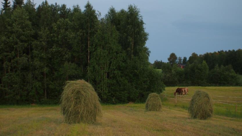 Kainuun Green Care hankkeet 2017 Luonto voimaksi Kainuussa on vuoden 2017 alusta alkanut tiedonvälityshanke, jota hallinnoi Luonnonvarakeskus ja osatoteuttajana on Kajaanin ammattikorkeakoulu.