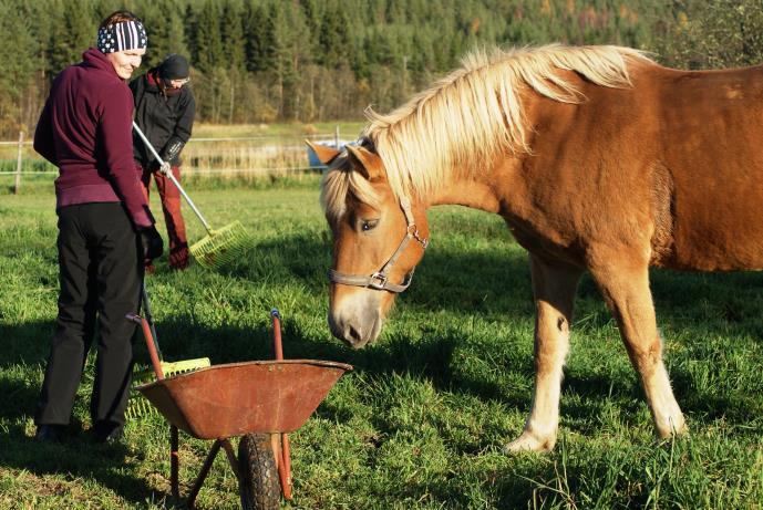 Tämän suhteen tärkeässä roolissa on Green Careen liittyvä koulutus, jota onkin Kainuun ammattiopistossa tulossa tarjolle Green Care perusteet opintojen muodossa jo keväällä 2017 alkaen.