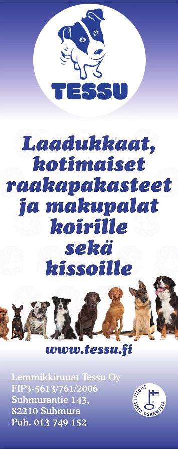 Hirvikoirien paras tulos: Kajalan Karhukoira narttu Vikitan Sinni 92 p. om. Seppo Puustinen. KEAJ. Paras tulos: Aamutuiman Helmi 97 p. Valiot: Jämtlannin pystykorva Onnivaaran Velix om.