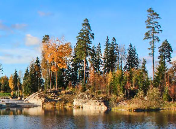 Vuores on vehreä ja vireä alue, jossa yhdistyvät luonto ja pikkukaupunkimaiset palvelut. Vuoreksessa taide ja laadukas arkkitehtuuri ovat läsnä kaikkialla.