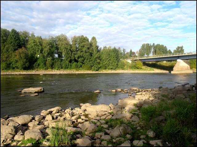 10 Kuva 6. Arantilankosken koeala 2 (kuva Kimmo Puosi) Koeala 3 sijaitsi Arantilankosken saaren rannassa ylimmällä niskalla. koordinaatit (KKJ peruskoordinaatisto) ovat N 6807055, E 1555164.