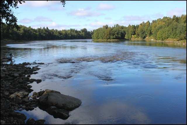 15 kokoinen kivi. Virrannopeus vaihteli koealalla 0,2 1,0 m/s välillä. Kalastetun alueen keskisyvyys oli 50 cm. Veden lämpötila oli 19 astetta. Kuva 10. Pämpinkosken koeala (kuva: Tapio Mäkelä) 3.