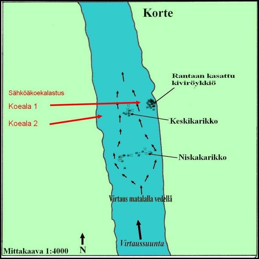 16 3.4 Korte Korte oli koekalastusten ylin paikka, joka sijaitsee noin kaksi kilometriä Pämpinkoskesta ylävirtaan. Kortteen virtapaikan pituus on noin 200 metriä ja leveys 120 metriä.