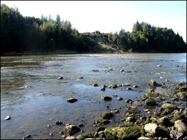 17 256 mm:n kokoinen kivi. Virrannopeus vaihteli koealalla 0,2 0,7 m/s välillä. Kalastetun alueen keskisyvyys oli 35 cm. Veden lämpötila oli 19,5 astetta. Kuva 12.