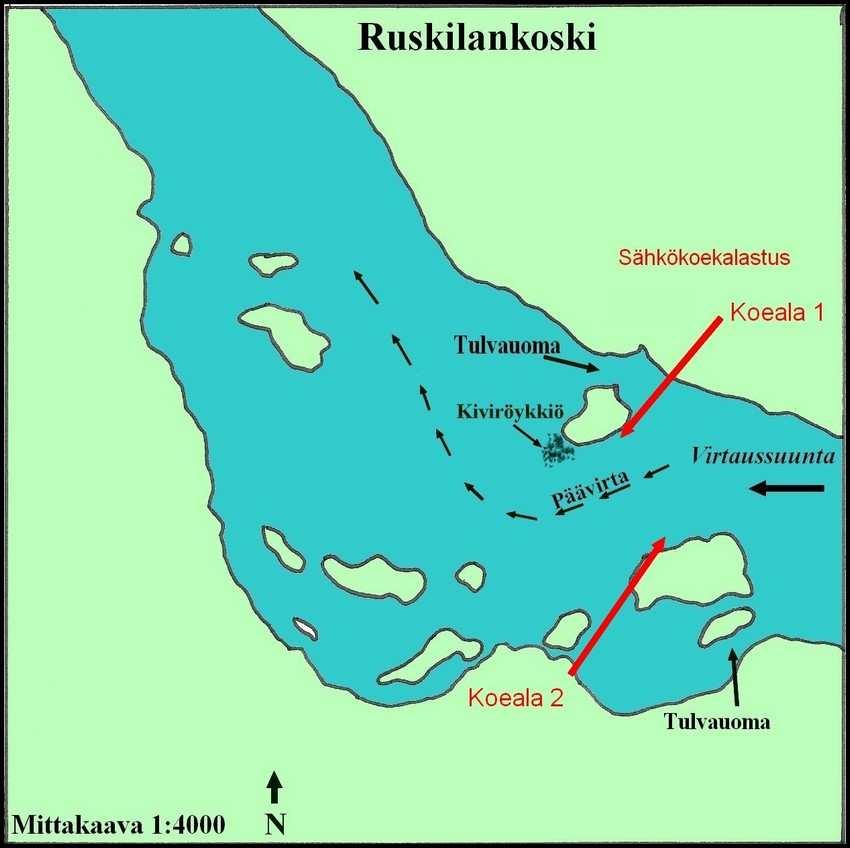 4 3 Tulokset 3.1 Ruskilankoski Ruskilankoski on Kokemäenjoen alin koski, matkaa Harjavallanvoimalaitokselle on noin 10 km.