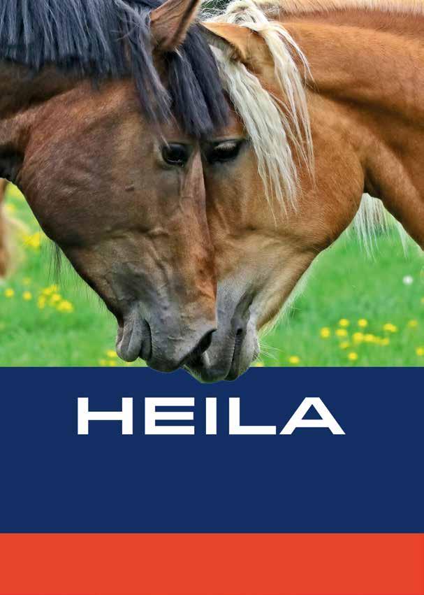Suomen Hevosenomistajien Keskusliiton jäsenenä saat hevosvakuutuksen maksusta 5 % alennuksen.