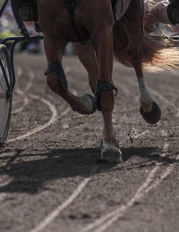 Kuopio, karsinta (tammat 00 / oriit ja ruunat 20 m) 27.10. Seinäjoki, karsinta (tammat 00 / oriit ja ruunat 20 m) 16.11. Seinäjoki, FINAALI, ykköspalkinto väh. 7.000 4-vuotiaat 10.8.