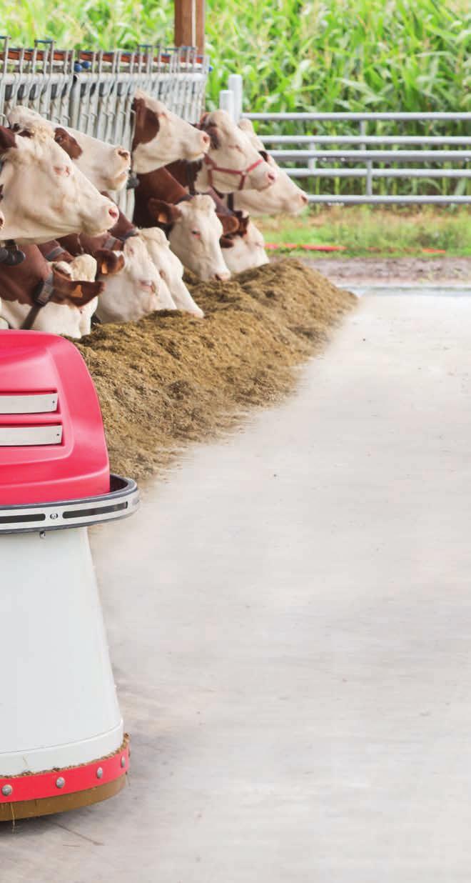 LELY JUNO 15 Lely Control Plus Lely Juno -laitetta
