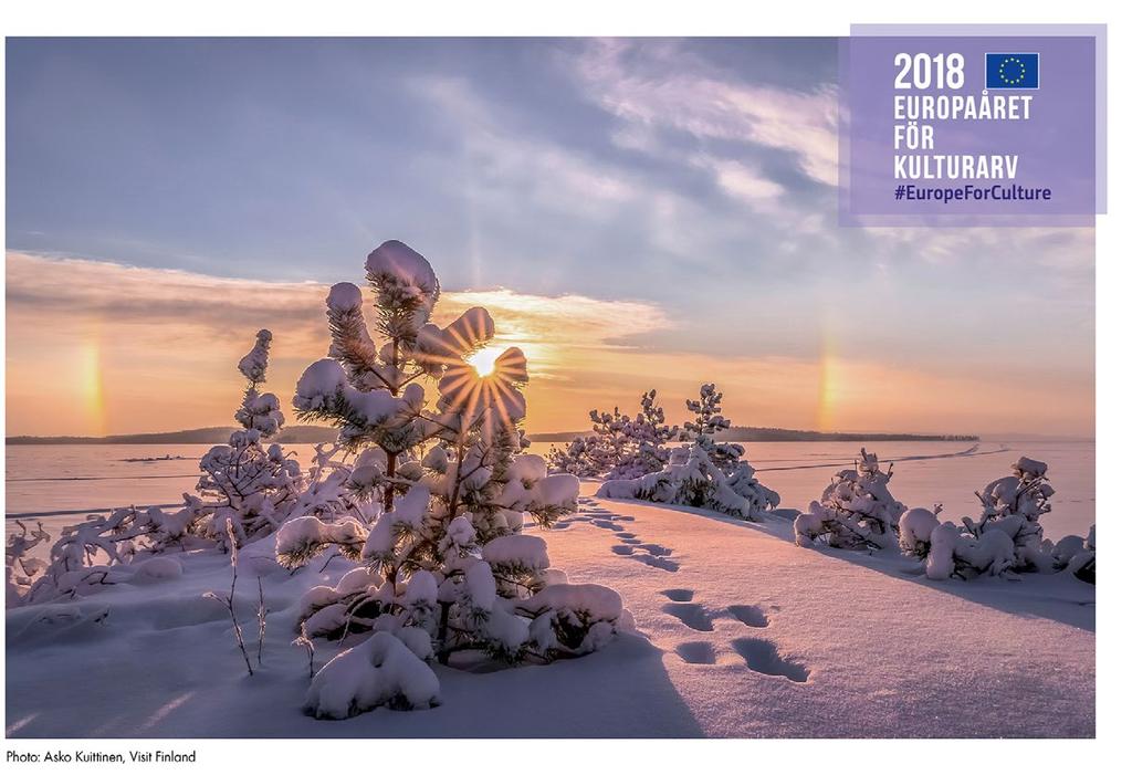 Tapahtumien jatkuvuus ja kertaluonteisuus Puolet tapahtumista ja aloitteista kertoi kyseessä olevan jatkuvan ja jo ennen teemavuotta käynnissä olleen toiminnan.