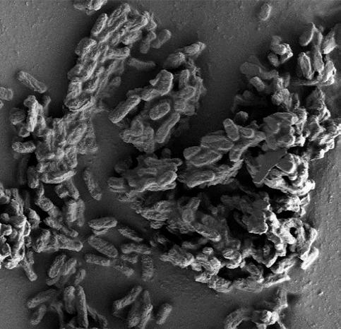 Tehokkuus In vitro -testi Mikrobien kiinnittymisen ja kolonisoitumisen väheneminen välineiden pinnoille on vahvistettu kliinisesti erilaisilla mikrobikannoilla in vitro -testissä.