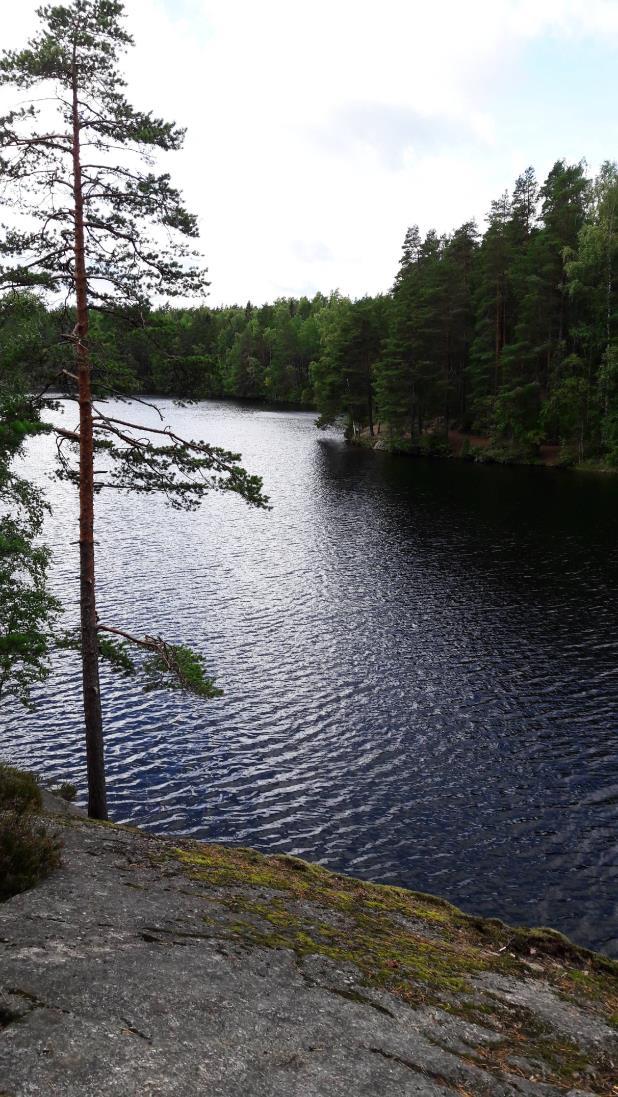 Suomalaiset ja luonto Suomalaiset ovat luontokansaa ja ulkoilmaihmisiä. Suomen maa-alasta lähes 80 % on metsää. Metsä on merkinnyt suojaa, leipää ja lämpöä (Arvonen 2014).