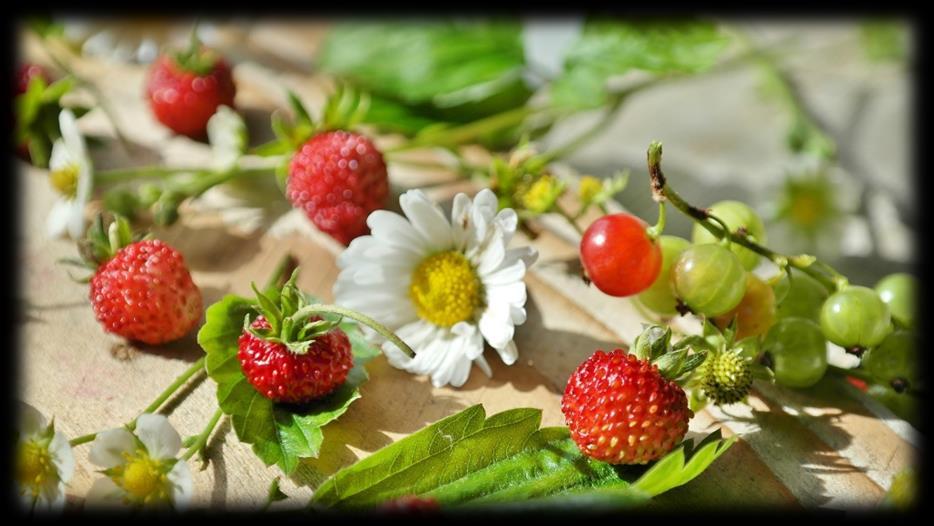 27.06.2019 Torstai Neljänviljanpuuroa L Mustikkaa Kalamureketta M,G Kermaviilikastiketta L,G Amerikansal-paprika-omenasalaattia Vaaleaa kastiketta L Mansikkakiisseliä M,G 28.06.2019 Perjantai Kaurapuuroa M Vesimelonia Kalkkunakastiketta M Riisiä M,G Amerikansal-kurkku-persikkasalaattia Ohukaisia L Tuoremarjahilloa M,G 1.