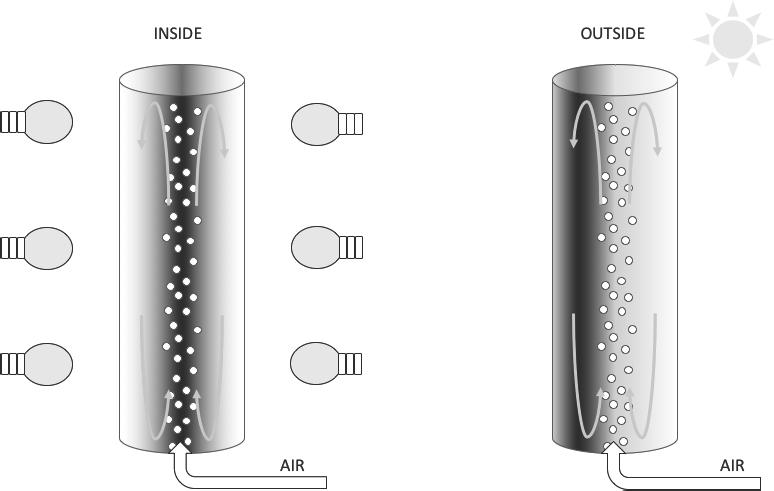 Inside cultivation with artificial light offers a controlled system, but the sun offers a possibly lucrative, yet constantly variable, free source of energy for outside cultivations.